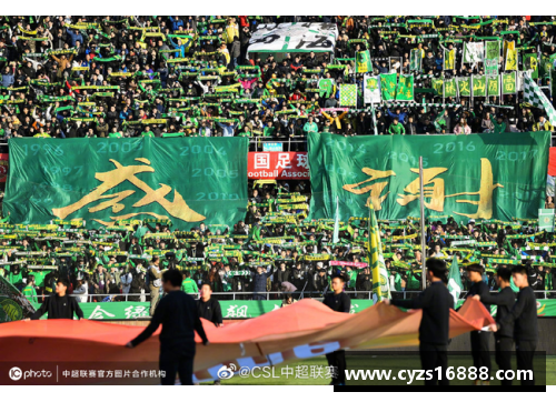 凯时K66官方网站北京国安主场告捷，球迷欢呼声不绝于耳